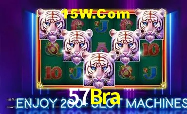 Sistemas de Segurança 57Bra